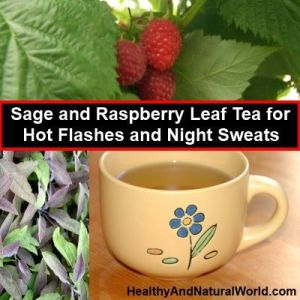Sage and Raspberry tea for hot flashes